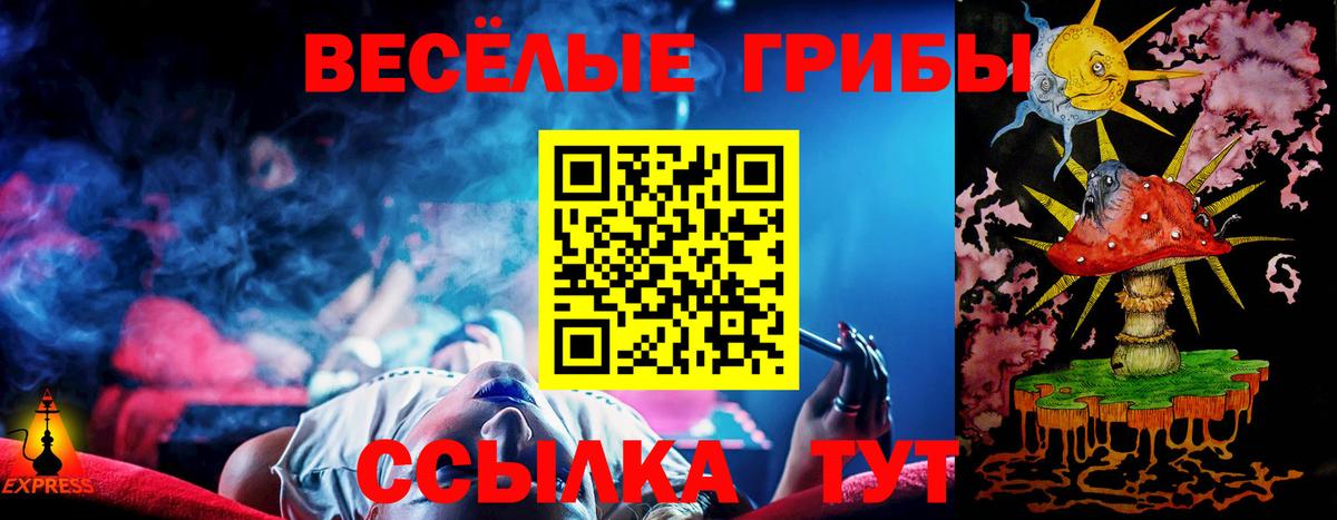 Полевской  Галлюциногенные грибы Psilocybine cubensis  Вход с VPN 
